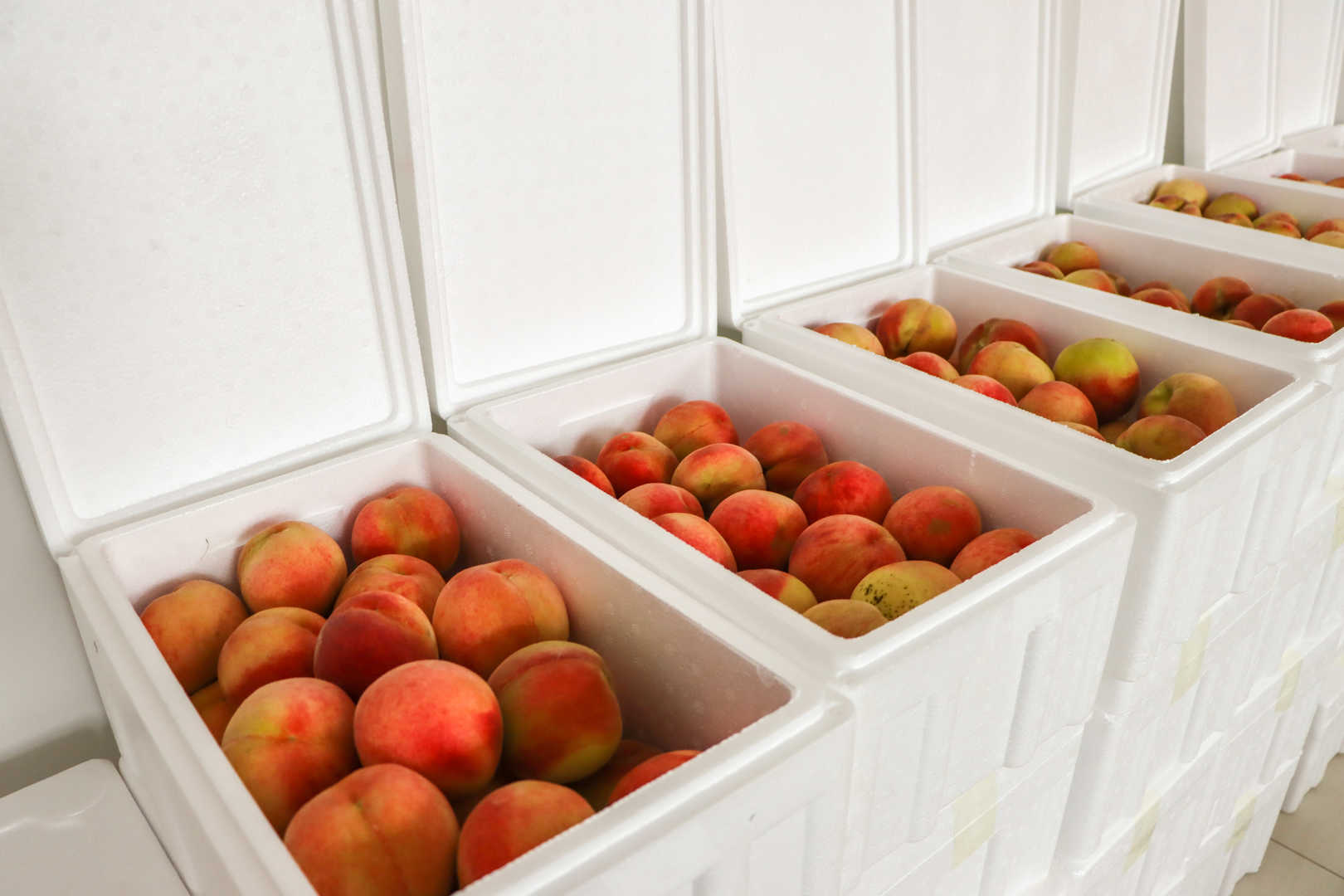 【甜蜜關(guān)懷】濱澳桃香漫工位，助農(nóng)暖心兩相宜！